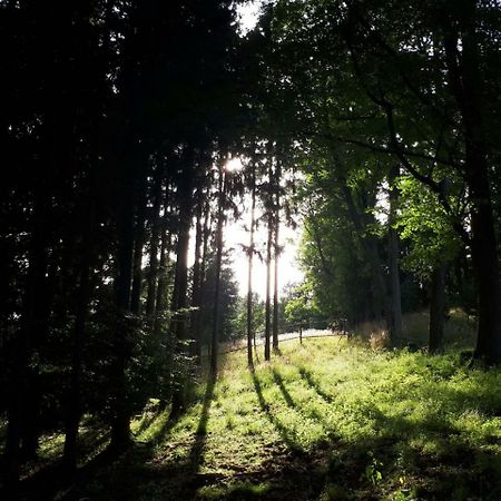 Olivin Kytlice Hiker Huts Hotell Exteriör bild